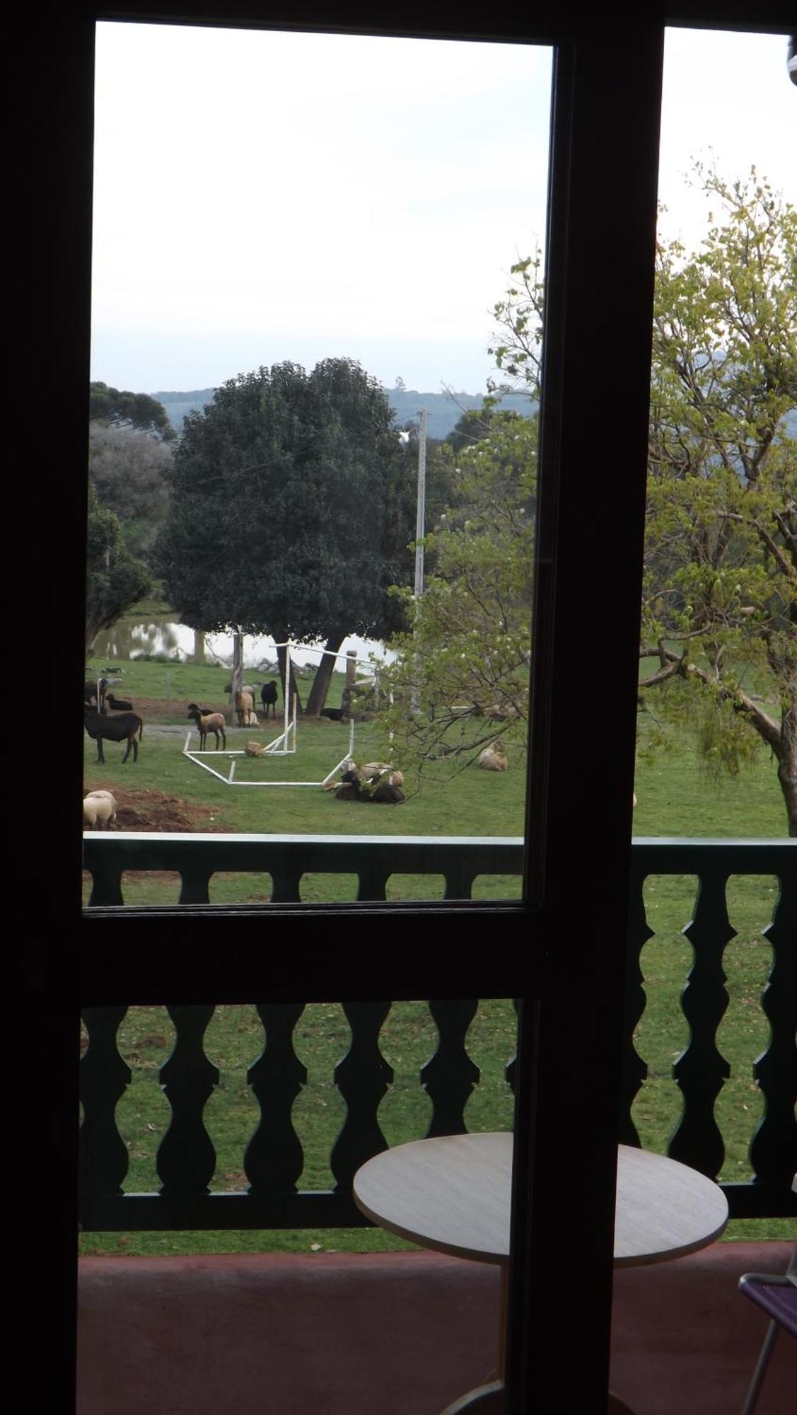 Recanto Dos Pioneiros Pension Nova Petropolis Kamer foto