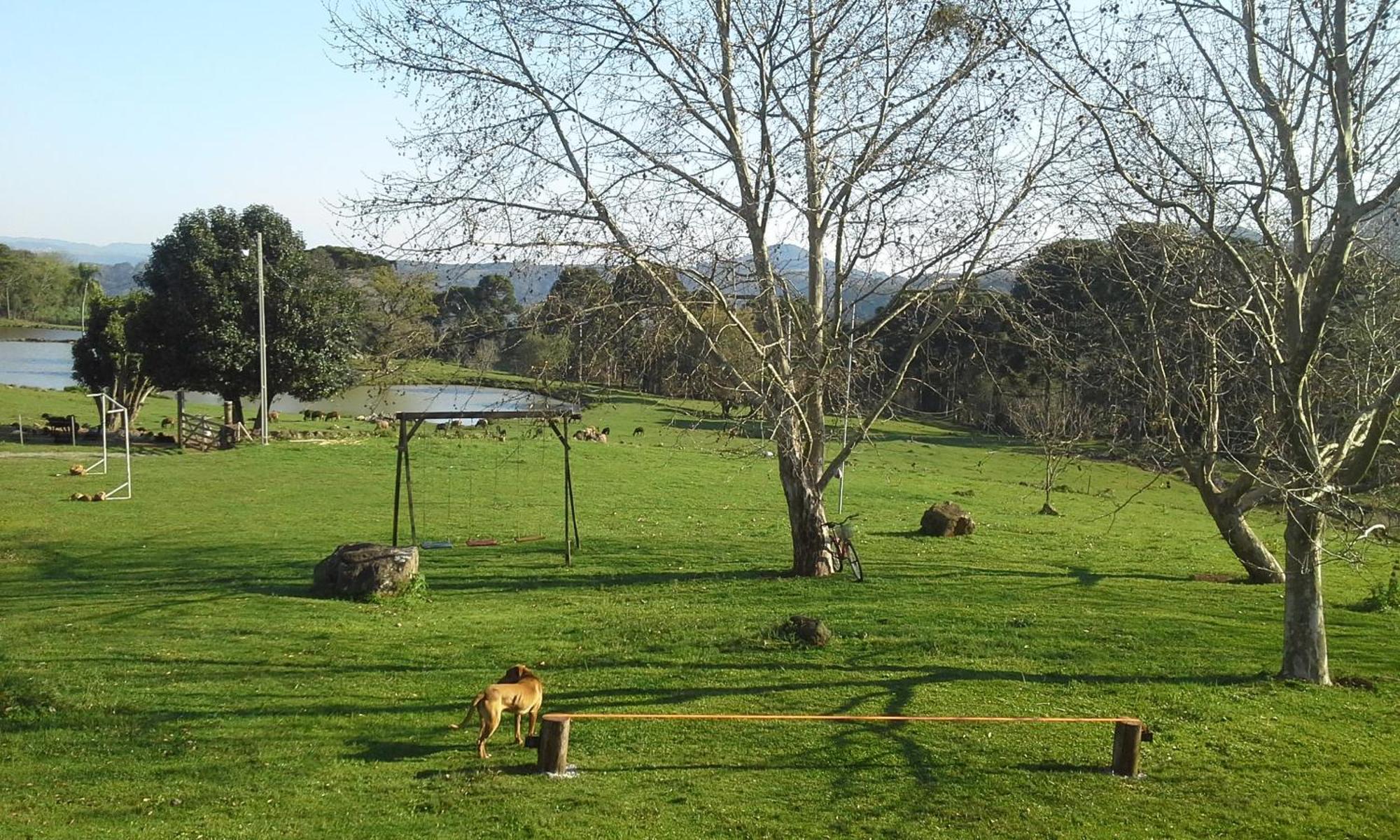 Recanto Dos Pioneiros Nova Petropolis Kamer foto