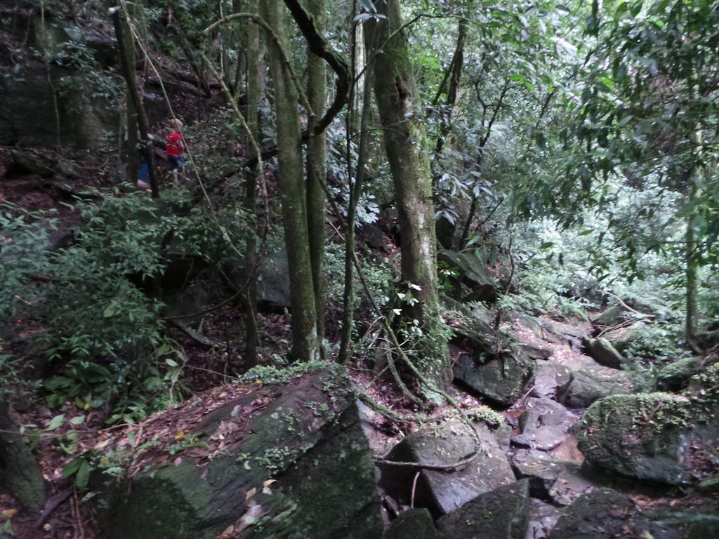 Recanto Dos Pioneiros Nova Petropolis Buitenkant foto