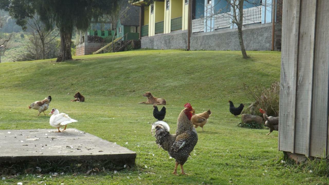 Recanto Dos Pioneiros Nova Petropolis Buitenkant foto